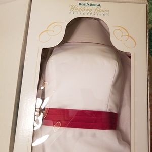 Wedding Dress and Veil